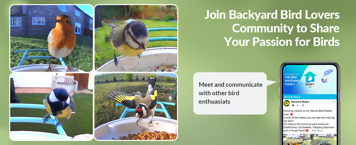 NETVUE Birdfy LiteSmart Bird Feeder Camera, Auto Capture and Record