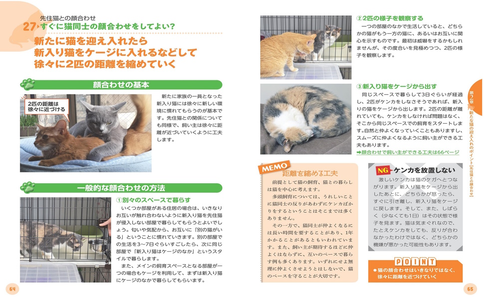 知っておきたい ネコの多頭飼いのすべて 獣医師が教える 幸せに