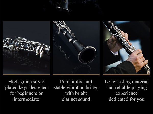 Amazon.com: Eastar B Flat Clarinet for Intermediate