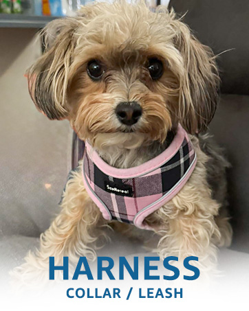 pet harness