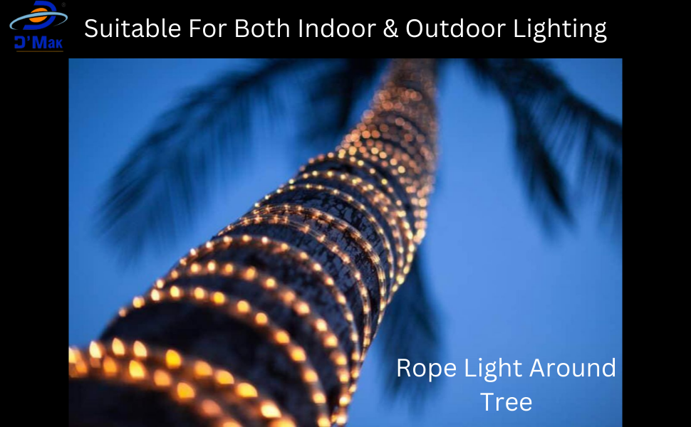 Buy D'Mak Water Proof 40 Meter LED Rope Light Color Blue with Adapter