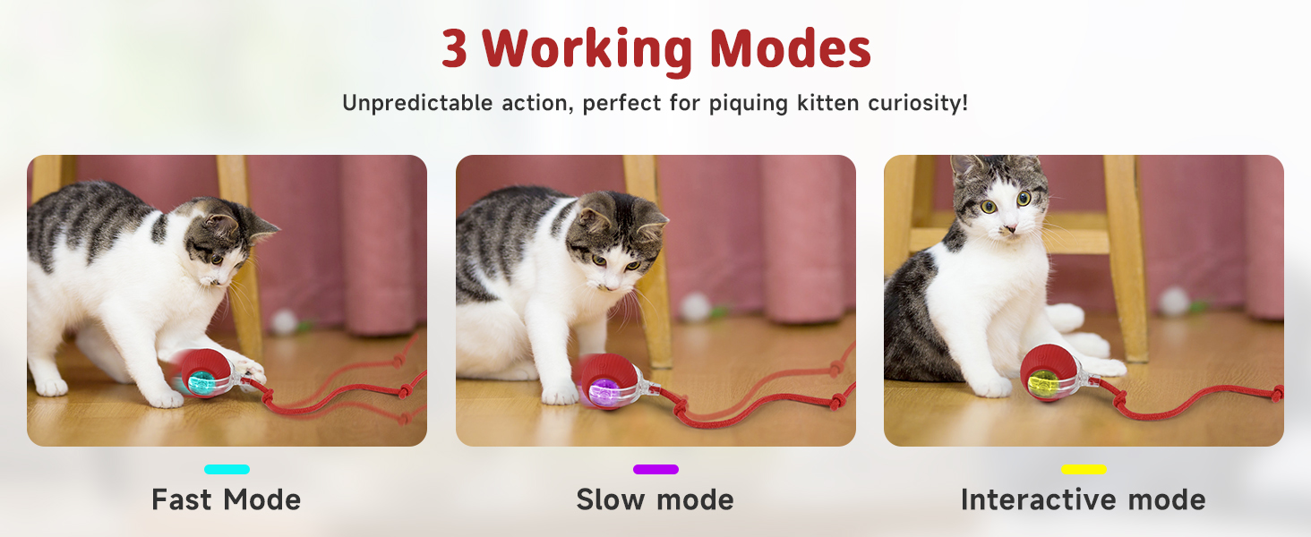 cat ball