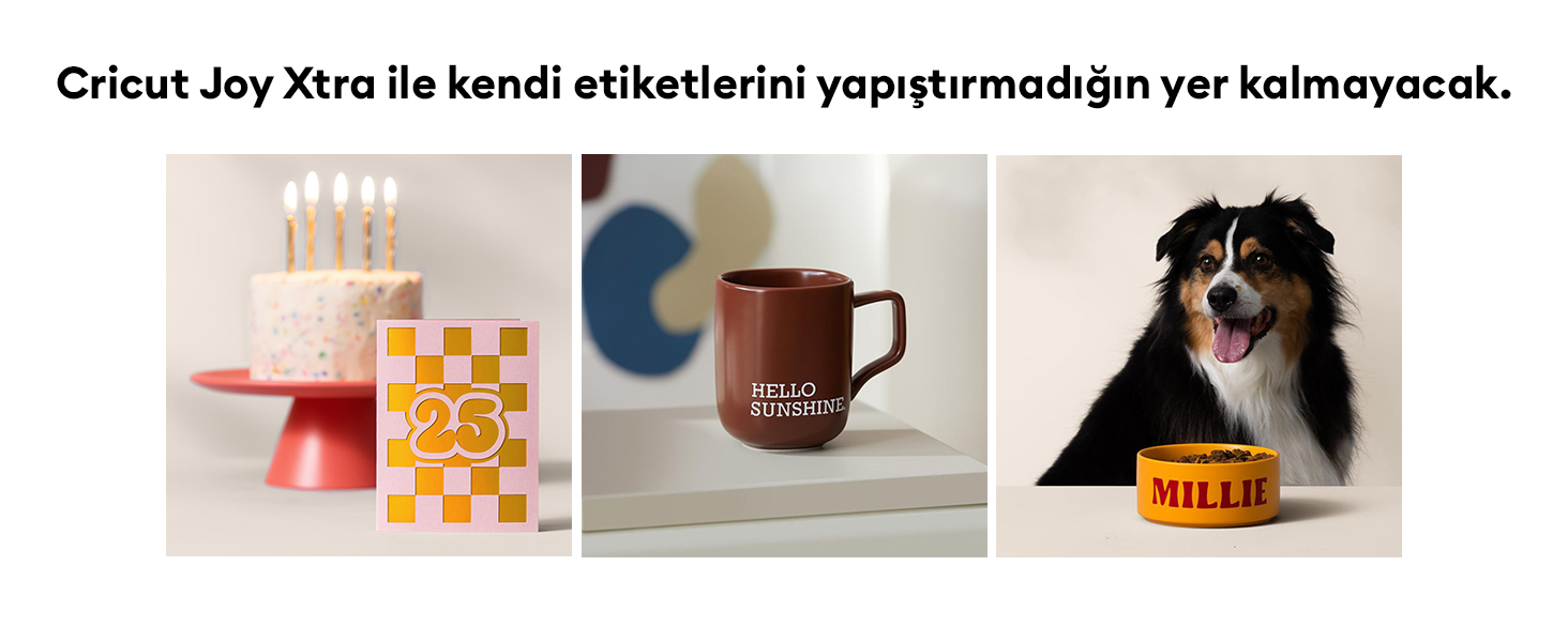 CRICUT 8002010