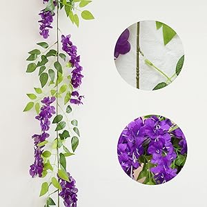 Purple wisteria