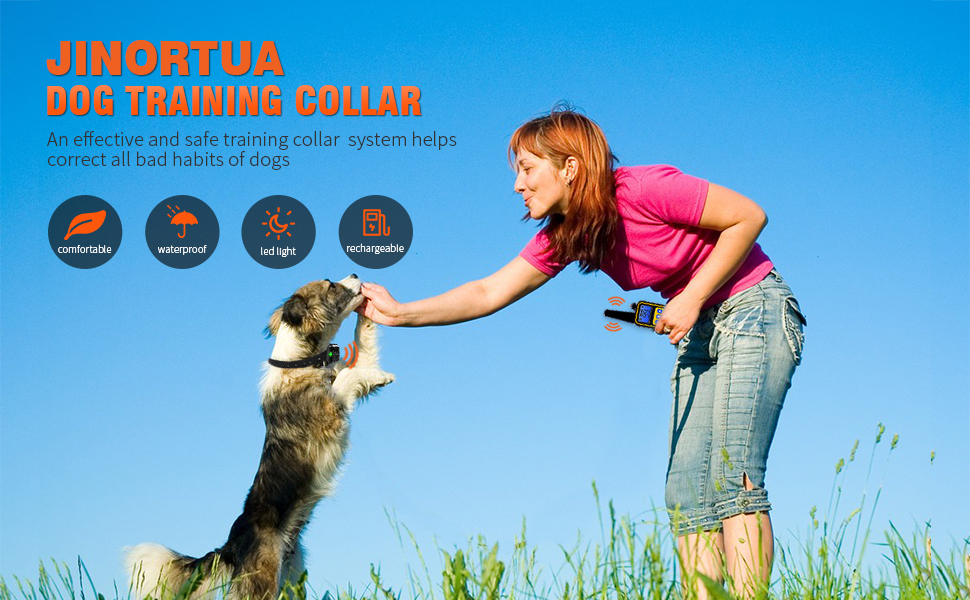Electric dog training collar