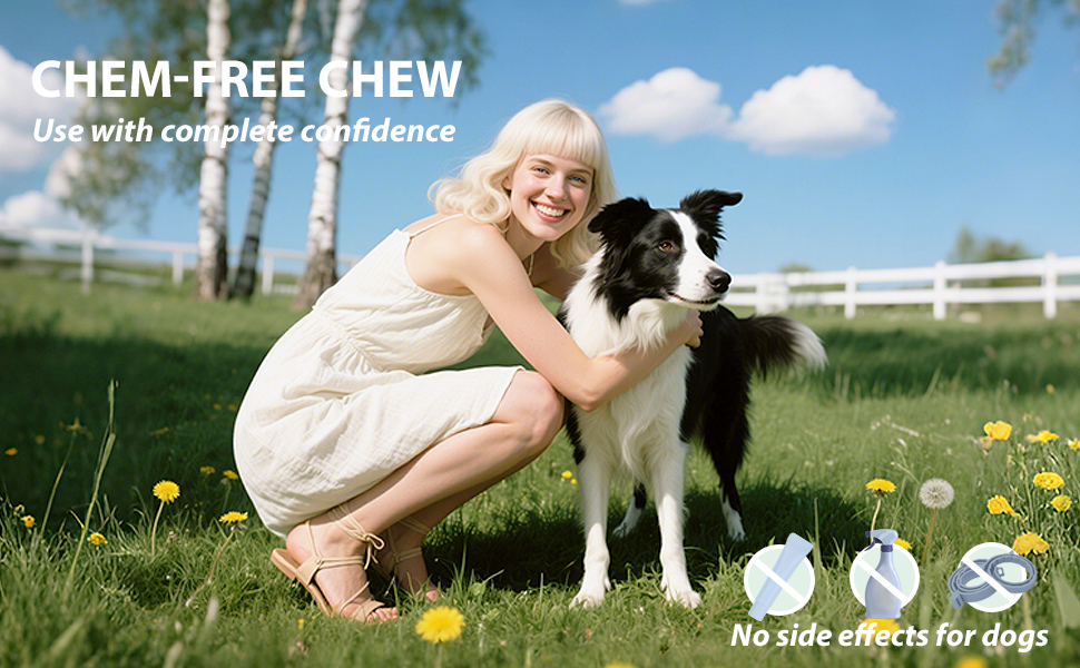 flea and tick prevention for dogs chewable