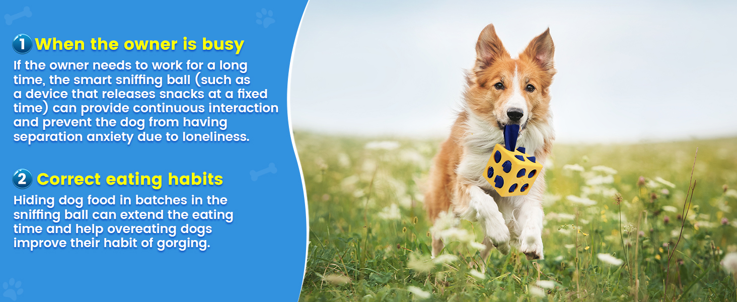 Hiding dog food in batches in the sniffing ball can extend the eating time and help overeating dogs 