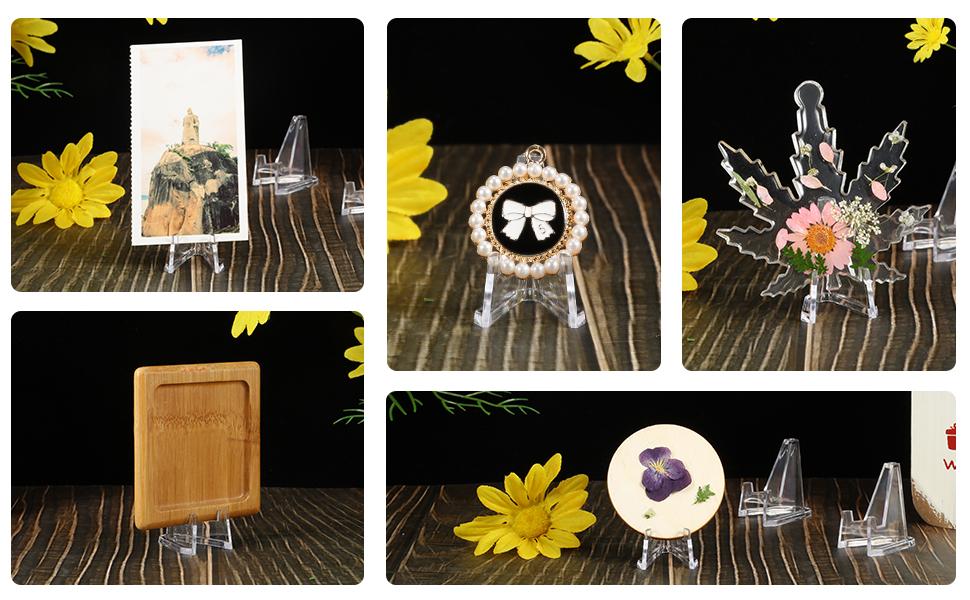 Jetec Coin Stand Mini Acrylic Easel Stands Coin Display