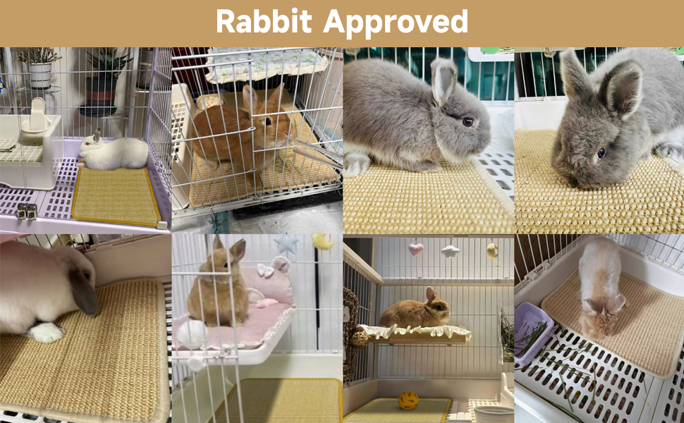 Bunny Chew Toys for Indoor Cages