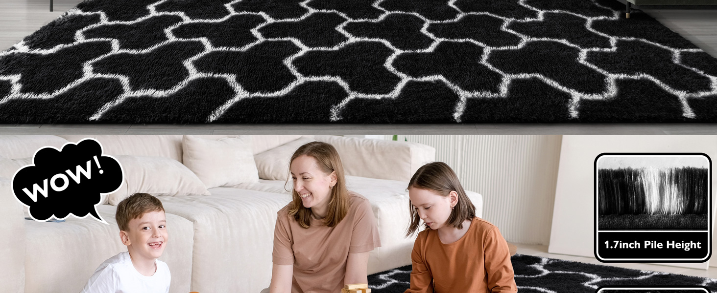 EVOIONOS Black and White Area Rugs for Living Room, 7x10