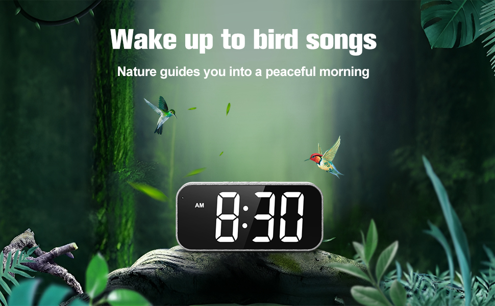 ALARM CLOCK