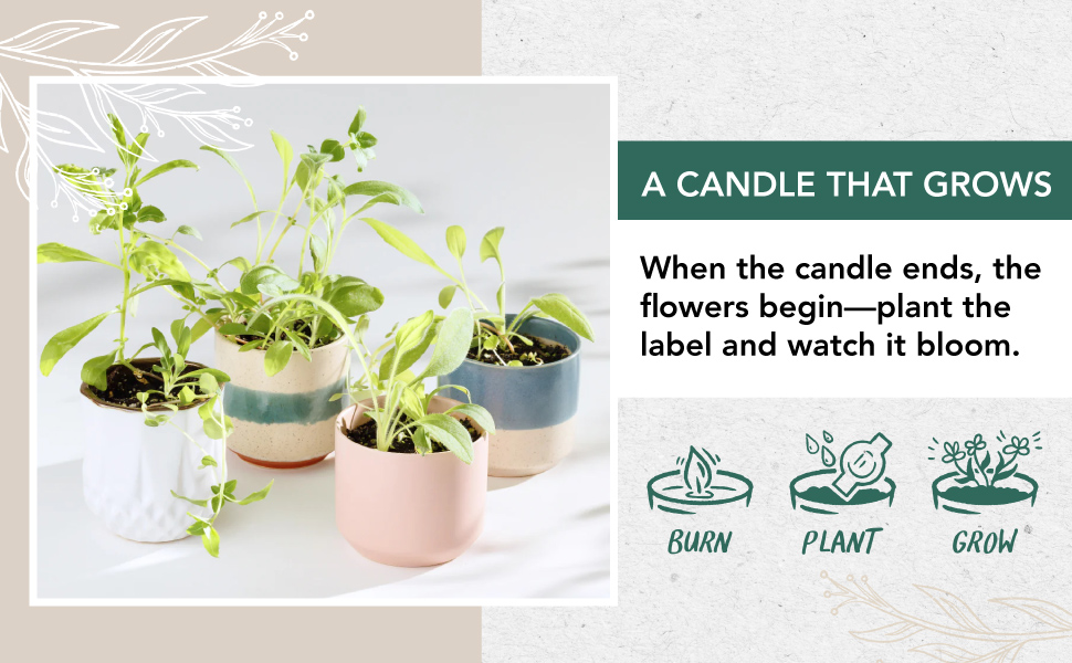 Growing Candles with plants growing out of them