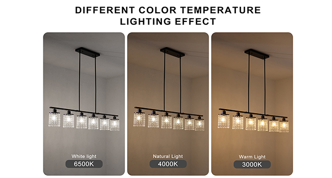 Dimmable with proper bulbs & wall dimmer