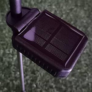 Solar light