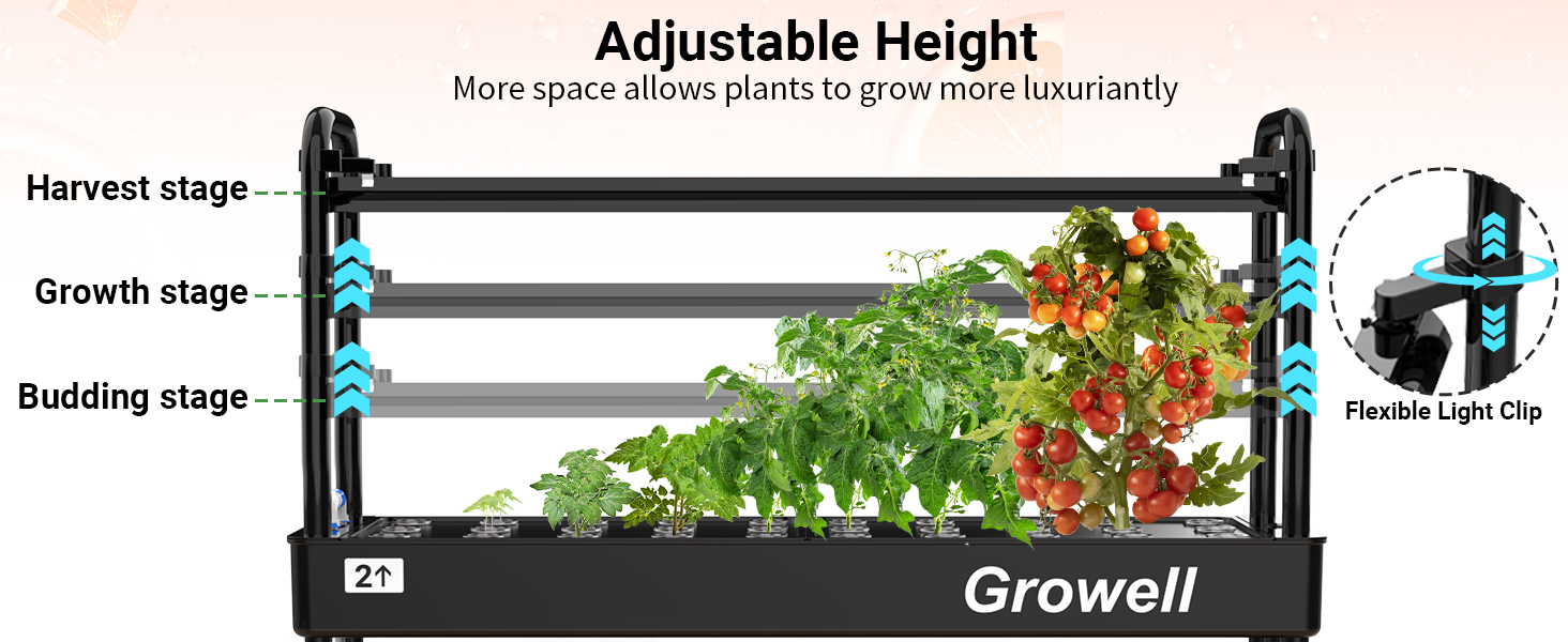 Adjustable Height