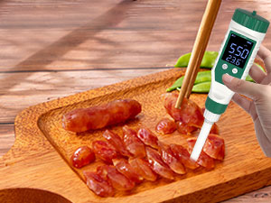 pH Meter for Sausage making