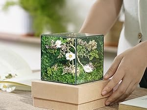 flores eternas para regalo para mama; anniversary gifts for wife; wedding anniversary gifts for wife