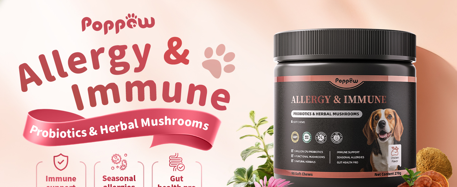 allergy & immune support