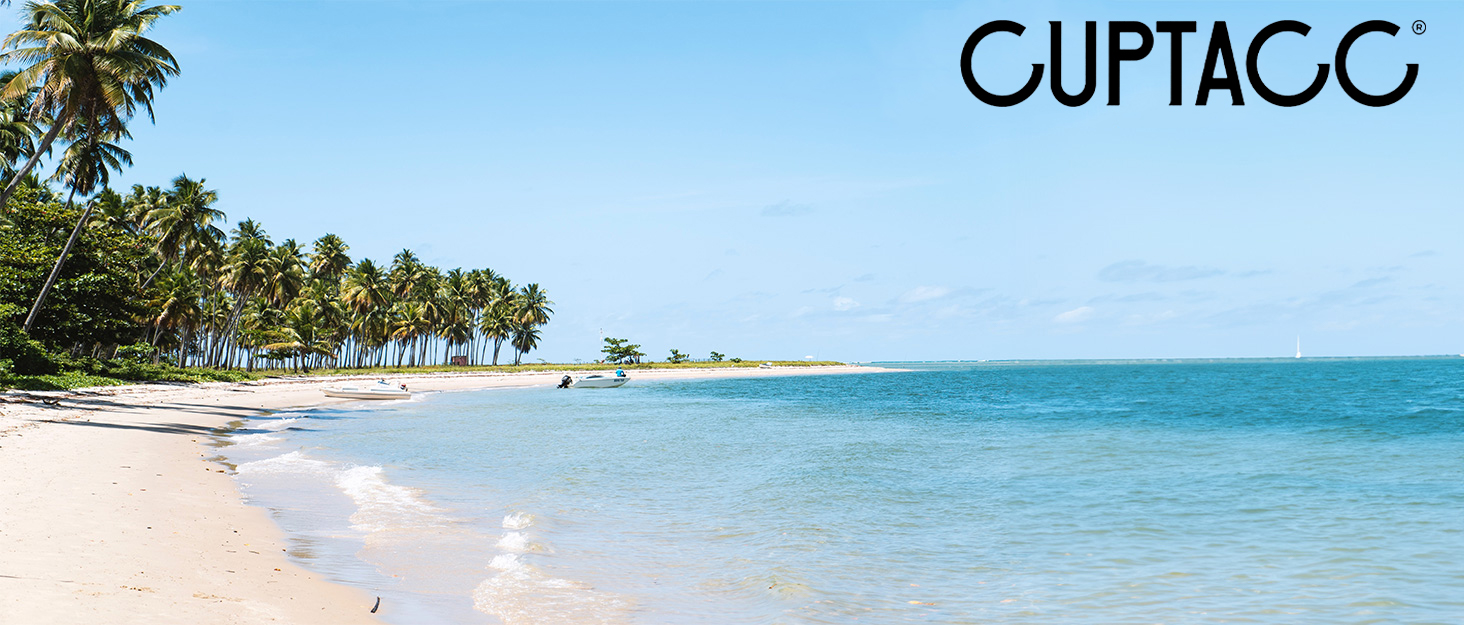 Dfd977f2 6db5 4147 B224 387ed37d4194. CR0,0,1464,625 PT0 SX1464 V1