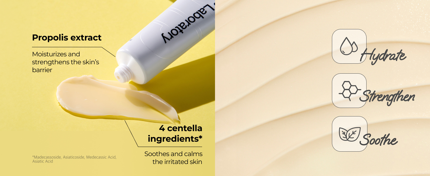 CNP Ampule Shot Cream 