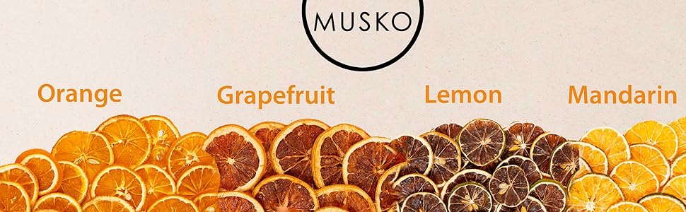 brand orange lemon mandarin logo module 1 2