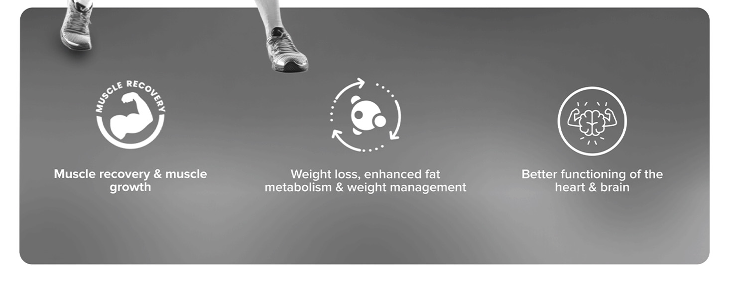 Large manufacture image 6