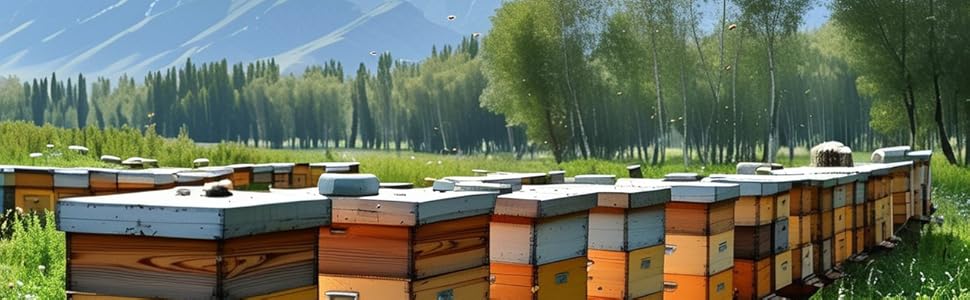 Large manufacture image 1