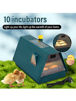 inkubator