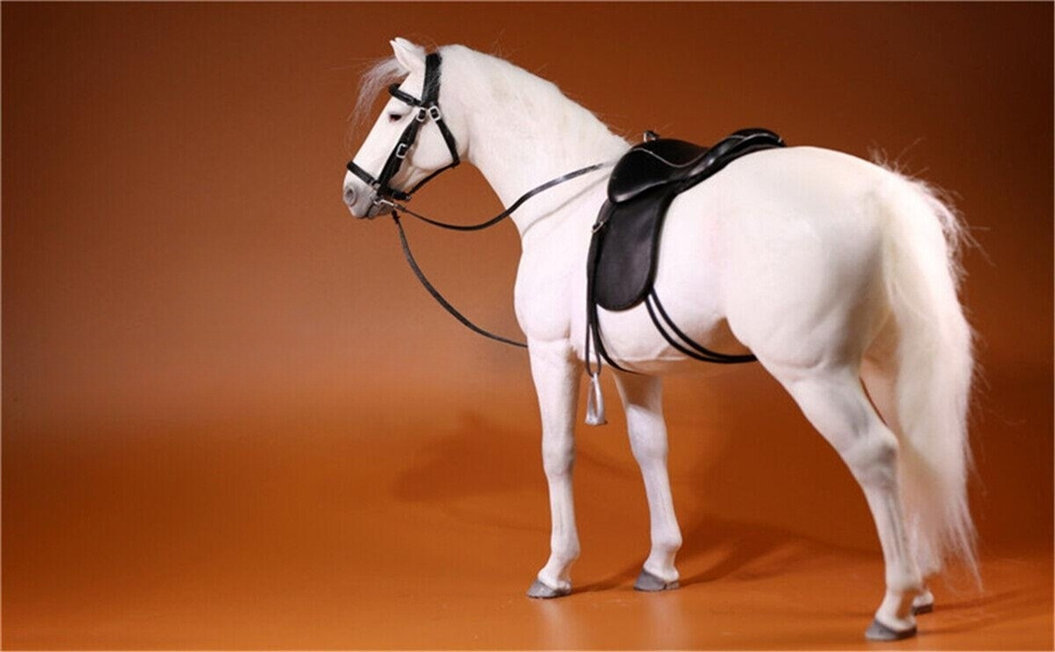 Amazon.com: WLNTDOLA Mr.Z 1:6 Scale Germany Hanover Horse