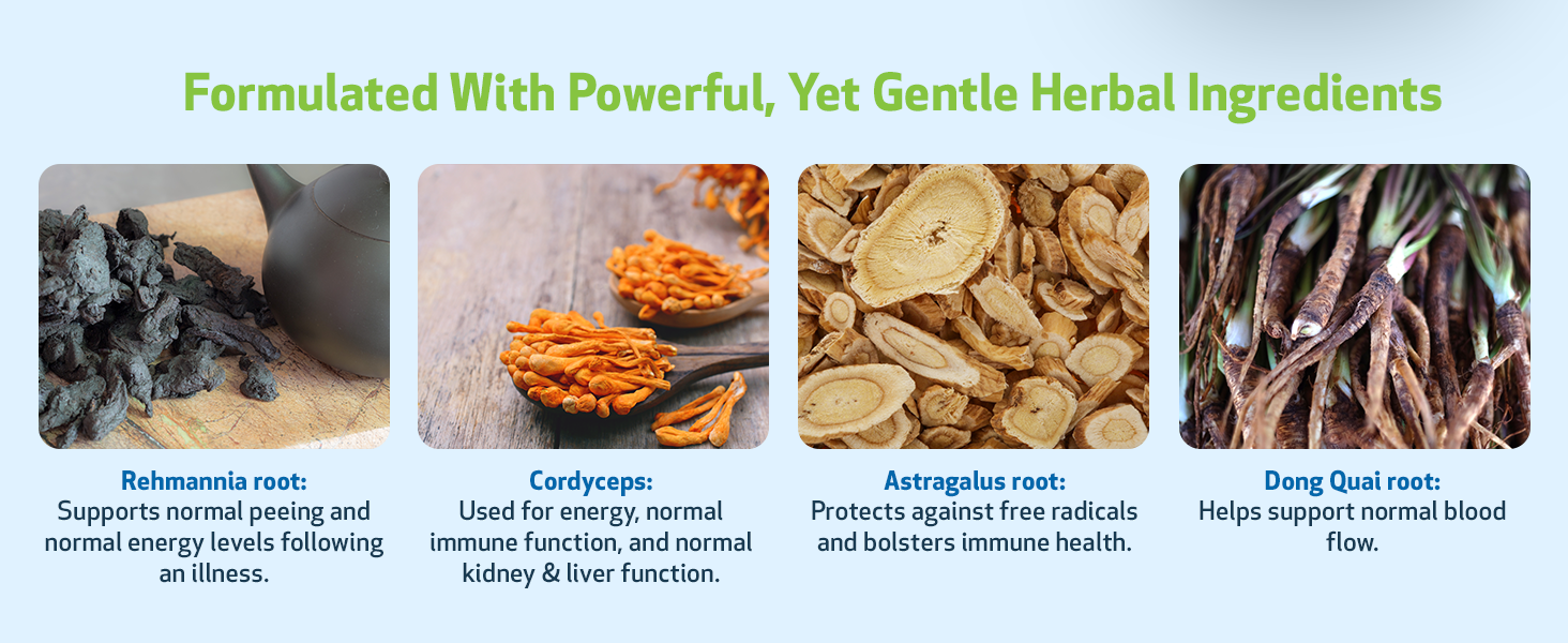 Pet Wellbeing Kidney Support Gold for Cats VetFormulated Supports