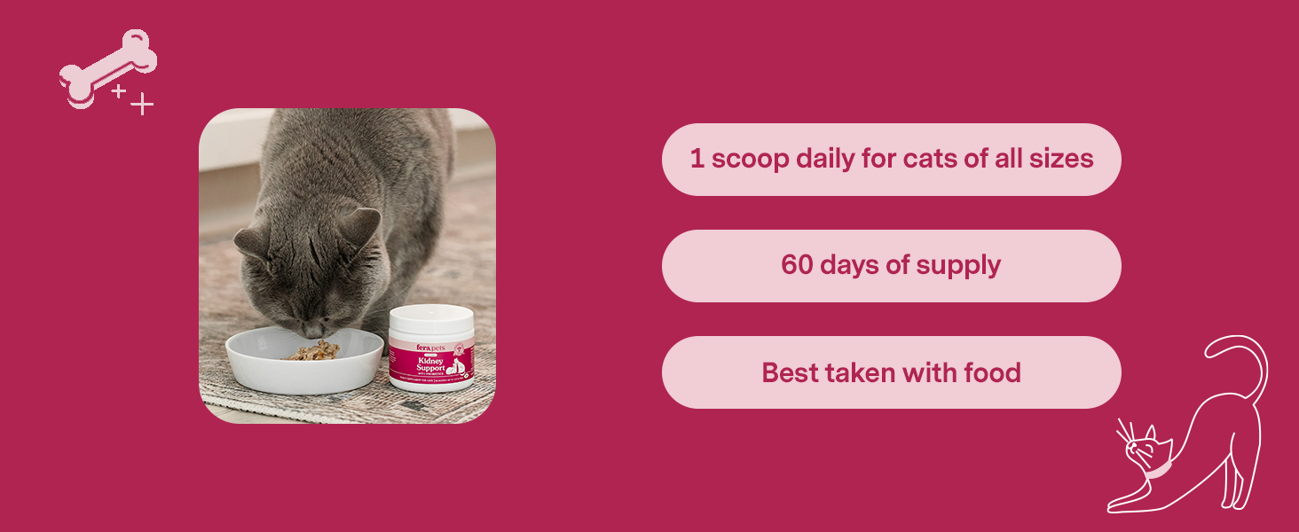 1 scoop daily for cats of all sizes, 60 days of supply, best taken with food