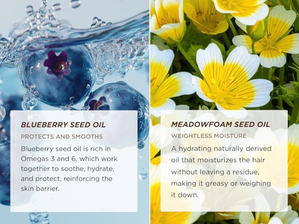 Ingredients of the Gisou Honey Infused Lip Oil