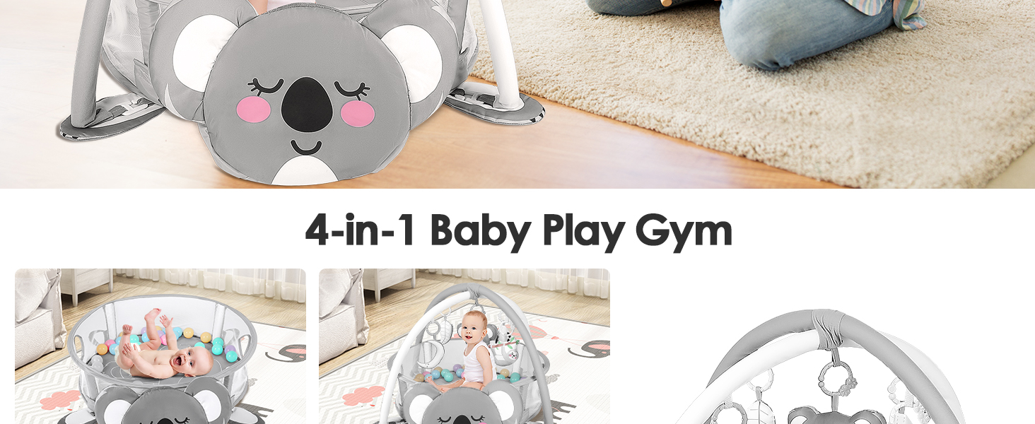 Baby Play Gym