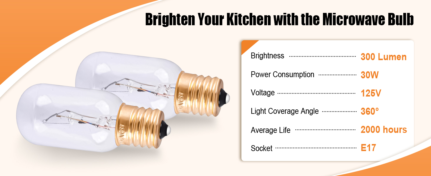 Microwave Light Bulb