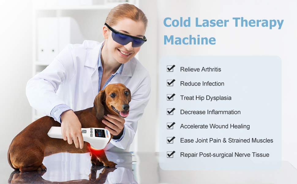 Cold laser therapy machine for dogs