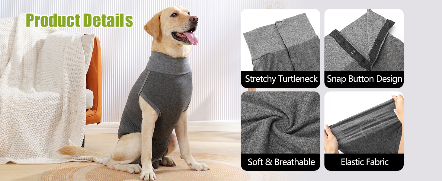 Body Pour Chien Après Stérilisation Fait Maison HEYWEAN Body Post Opératoire pour Chien Femelle et Mâle - Combinaison