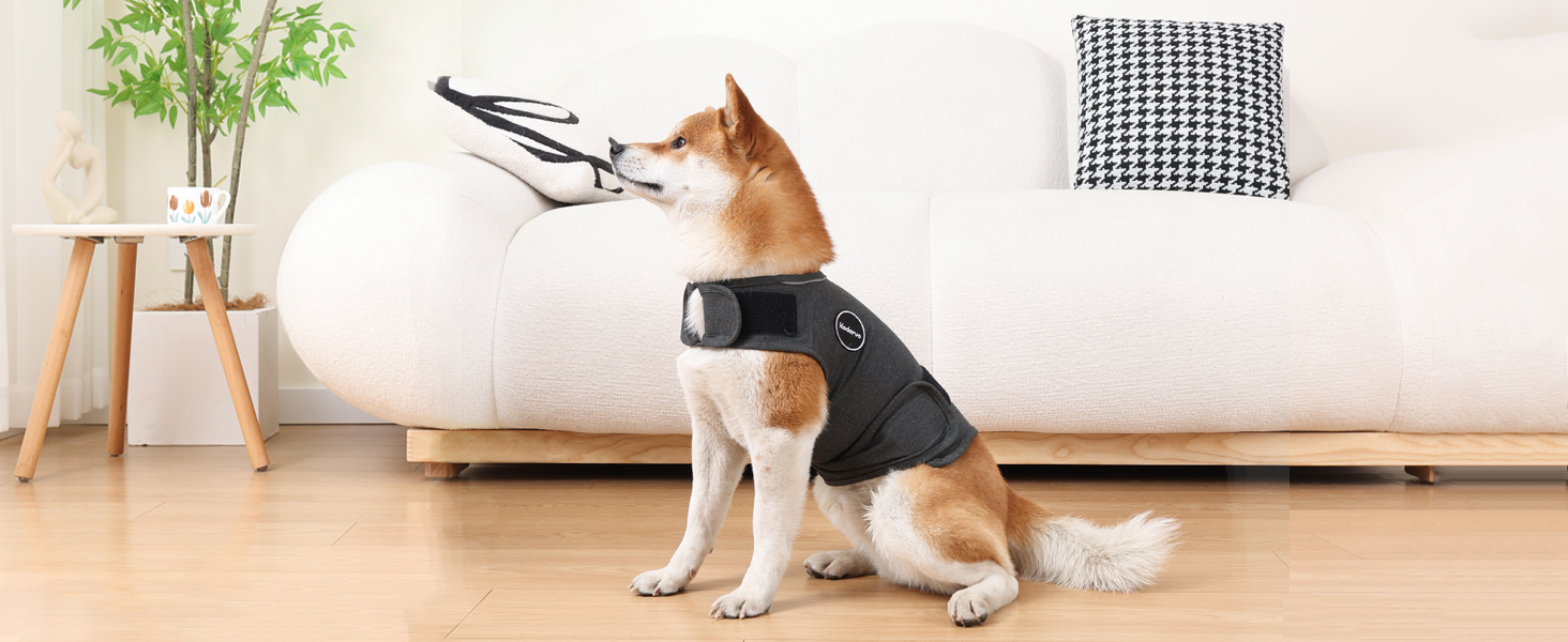 dog anxiety jacket