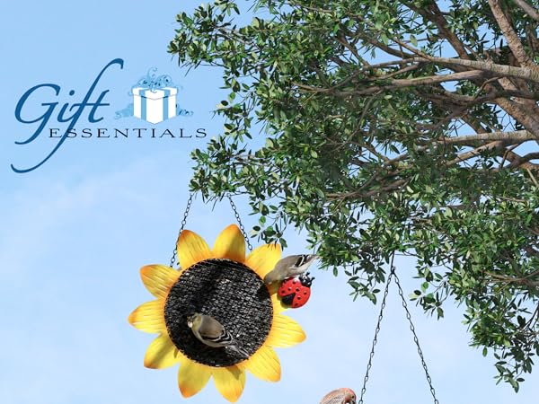 Amazon.com : Gift Essentials Gift Essentials Sunflower with