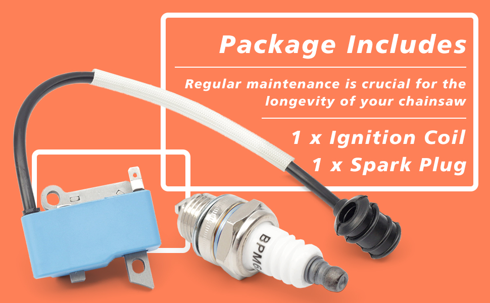 Lisnhlin CS590 Ignition Coil Spark Plug Set Compatible