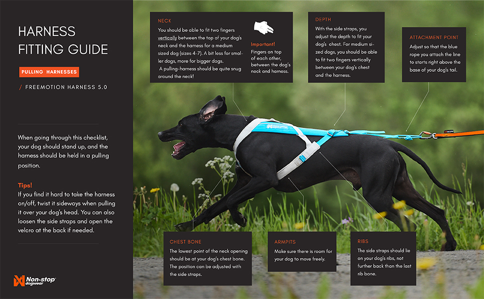 Nonstop dogwear Freemotion Harness 5.0 Dog Pulling Harness for Sports Like Running