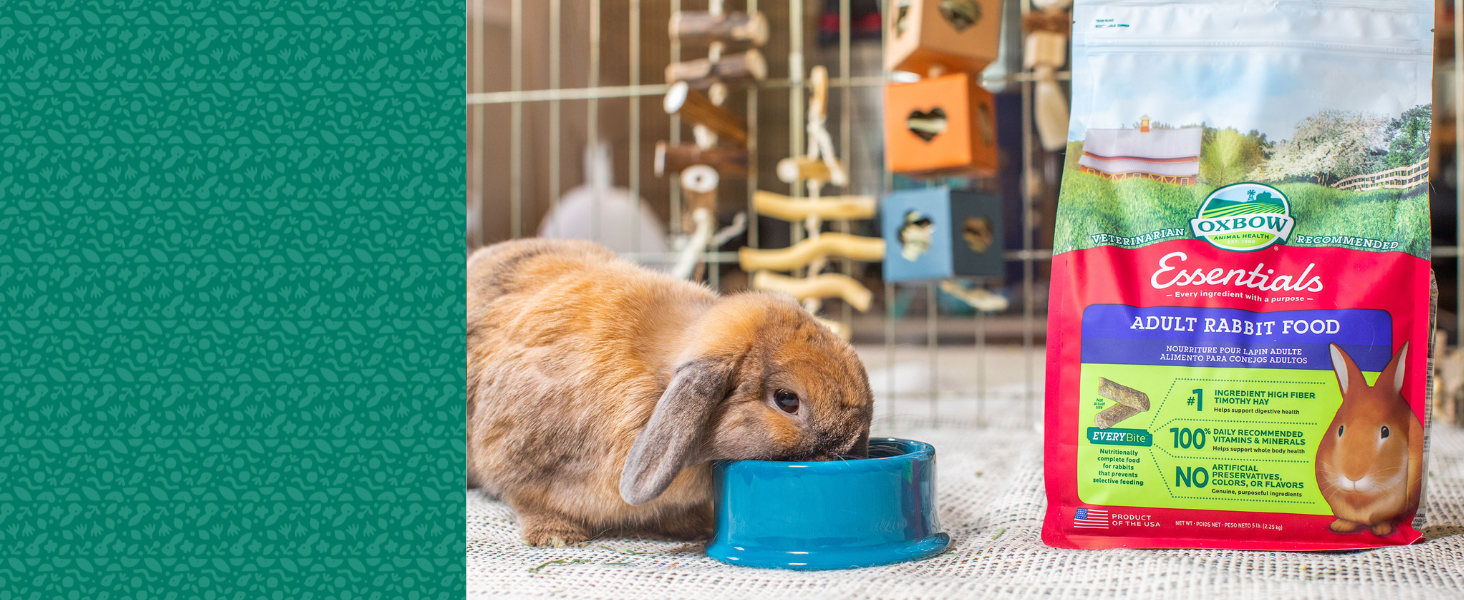 Oxbow Essentials Adult Rabbit Feed, rabbit food, small animal enrichment, feed for adult rabbits