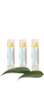 organic Lip Balm vegan natural coconut butter almond oil beeswax moisturize soft dry flakey chapped 