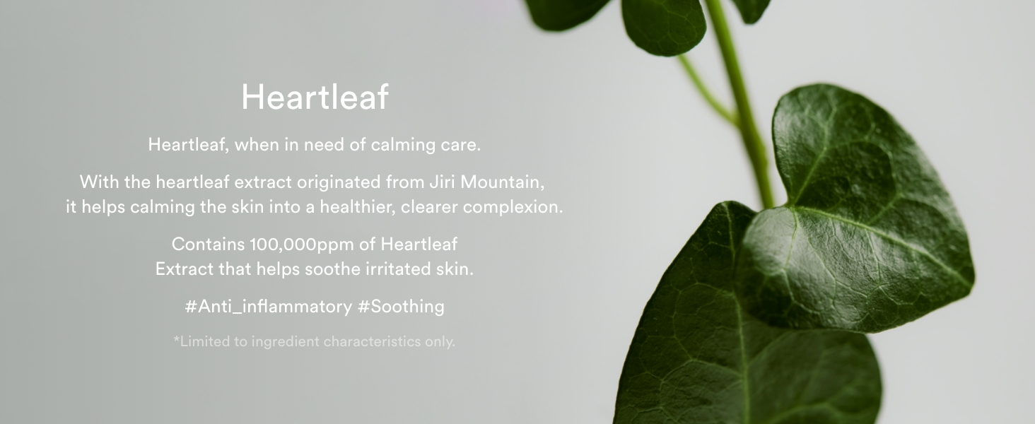 abib, creme, cream, facial cream, heartleaf, facial creme, moisturizer