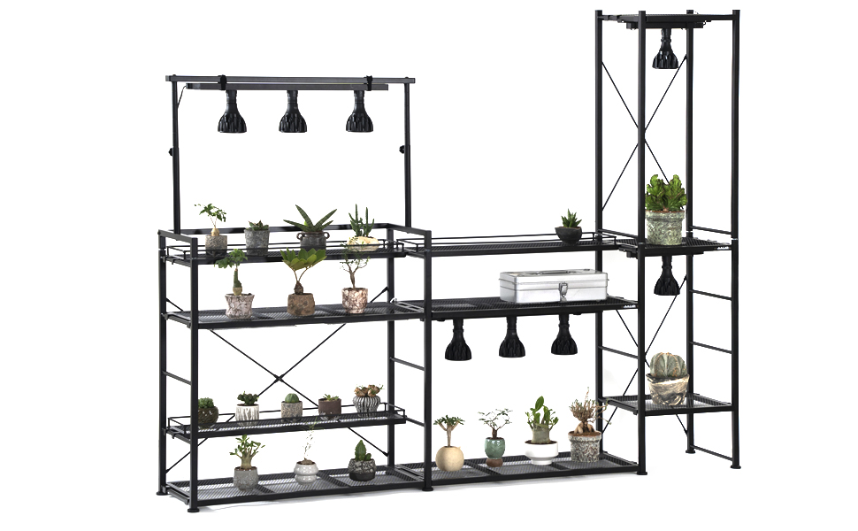 Amazon | BIBILAB(ビビラボ) ビザールプランツラック LPR-800-BK
