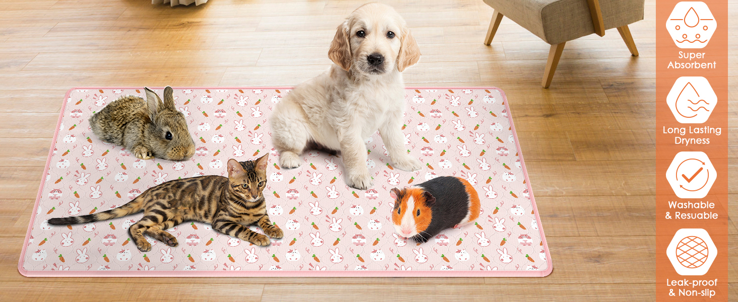 chinchilla cage liner