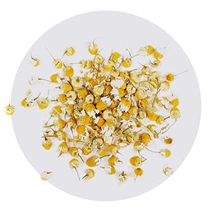 Chamomile
