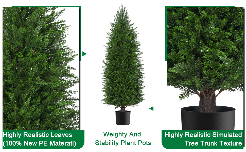 pine tree