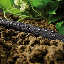 Garden Soaker Hose