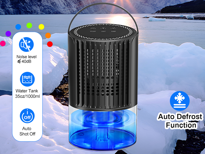 Dehumidifiers for home 800600