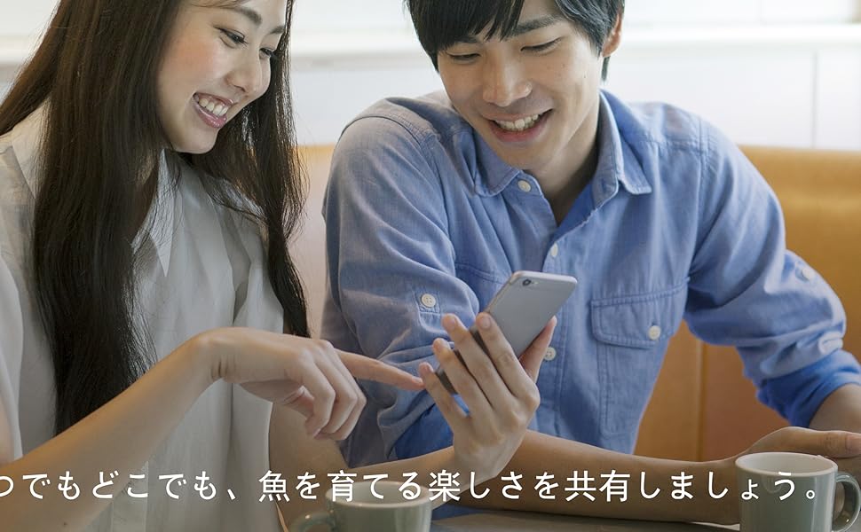 視覚化自動ベイター